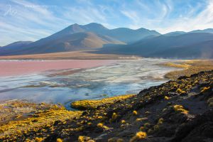 Bolivia-laguna colorada-2-c58.jpg
